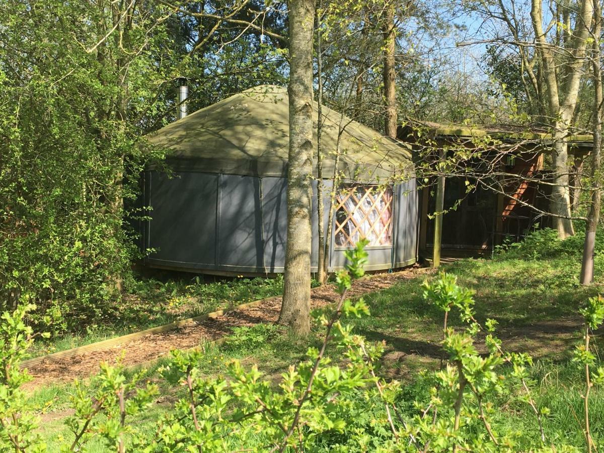 Cotswolds Camping At Holycombe Shipston-on-Stour Eksteriør billede