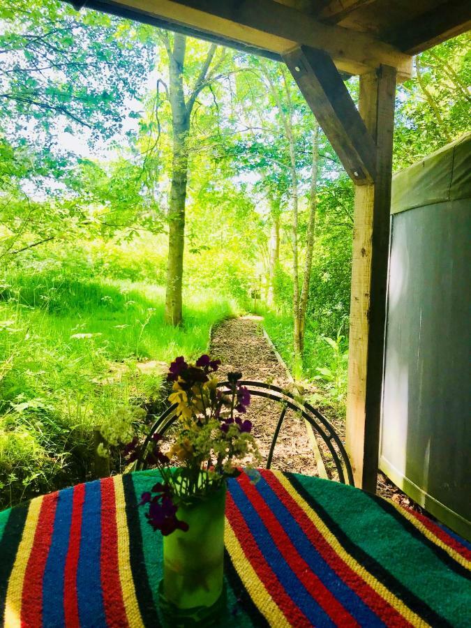 Cotswolds Camping At Holycombe Shipston-on-Stour Eksteriør billede
